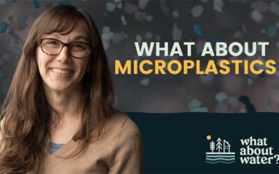 What About Microplastics?
